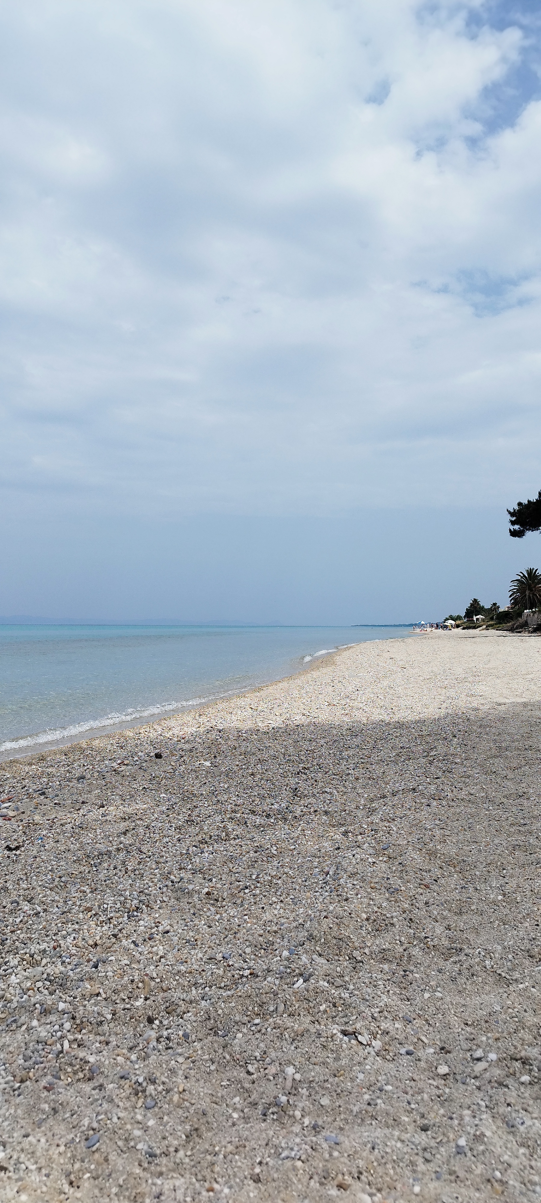 Παλμέρα